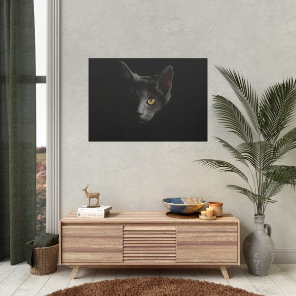 92408-331.jpg Black Bombay Cat in the Dark Poster