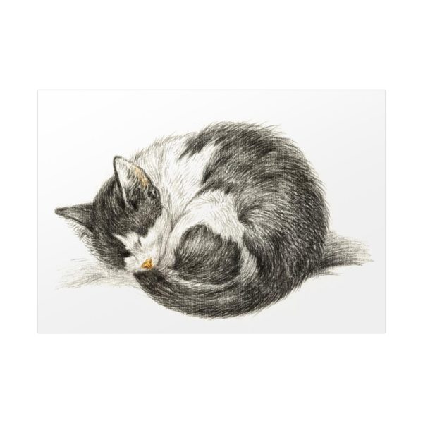 92408-336.jpg Rolled up Lying Sleeping Cat by Jean Bernard Poster
