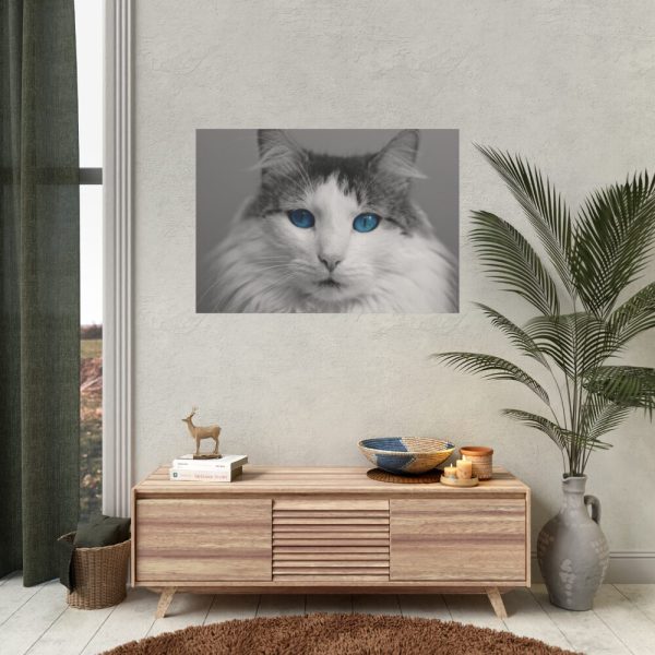92408-340.jpg Cute Maine Coon Cat Poster