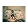 92408-348.jpg Cat Wearing Eyeglasses Poster