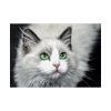 92408-354.jpg Cat with Green Blue Eyes Poster