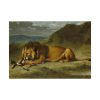 Lion Devouring a Goat Poster