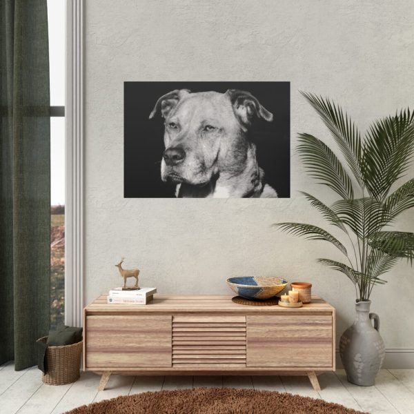 Dog Boxer Labrador Mixed Poster
