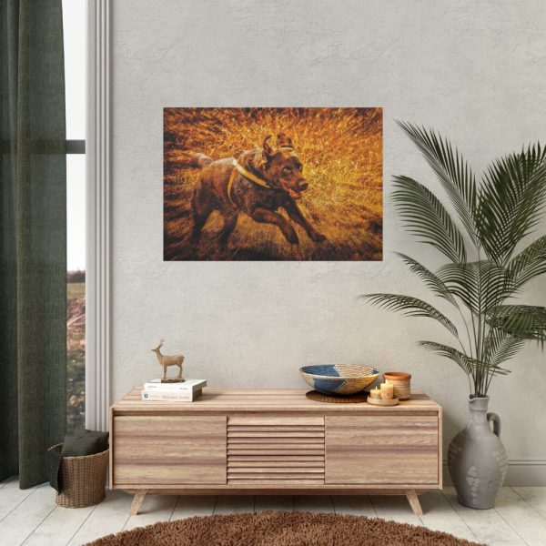 92408-367.jpg Black Labrador Runing in Field Poster
