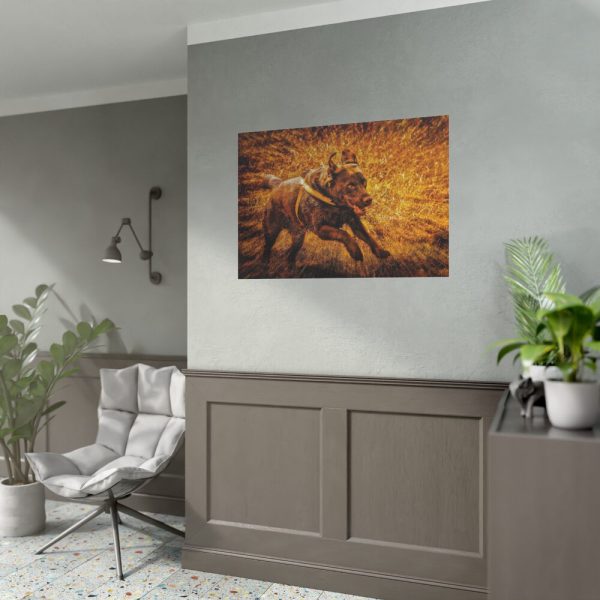 92408-368.jpg Black Labrador Runing in Field Poster