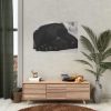 Sleepy Black Labrador Poster