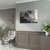 92408-374.jpg Beautiful Labradors Eyes Poster