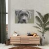 92408-376.jpg Grey Labrador with Blue Eyes Poster