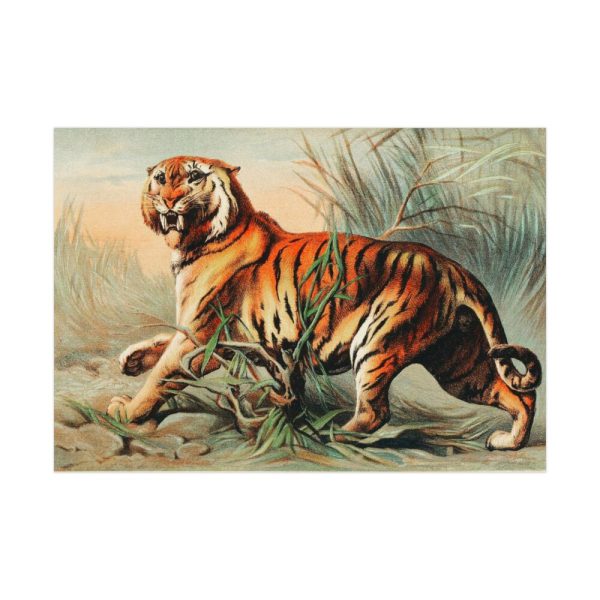 92408-381.jpg Royal Bengal Tiger by John Karst Poster