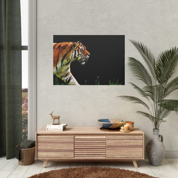 A Tiger in the Darkness Poster