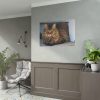 92408-395.jpg Brown Tabby Maine Coon Cat Poster