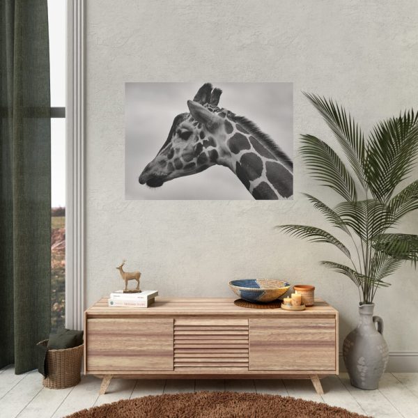 92408-397.jpg Black-and-White Photo of a Giraffe's Head Poster