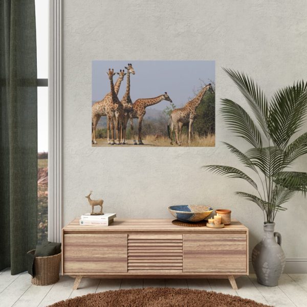 92408-400.jpg Free Giraffes in the Wild Poster