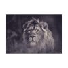 92408-405.jpg Close Up Shot of a Lion's Face in Black and White Poster