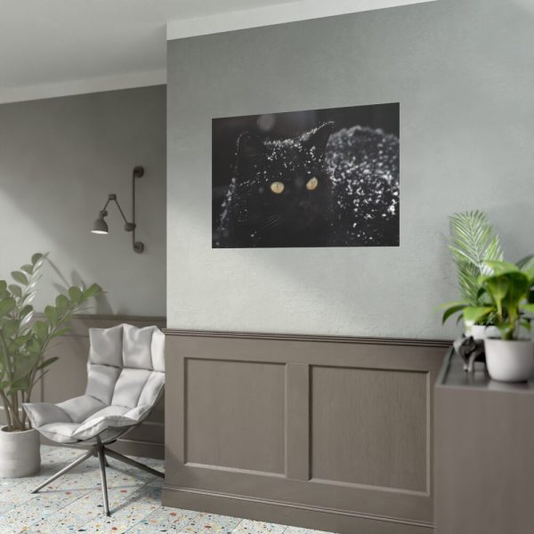92408-416.jpg Black Persian Cat Poster