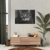 Cute European Shorthair Cat Poster