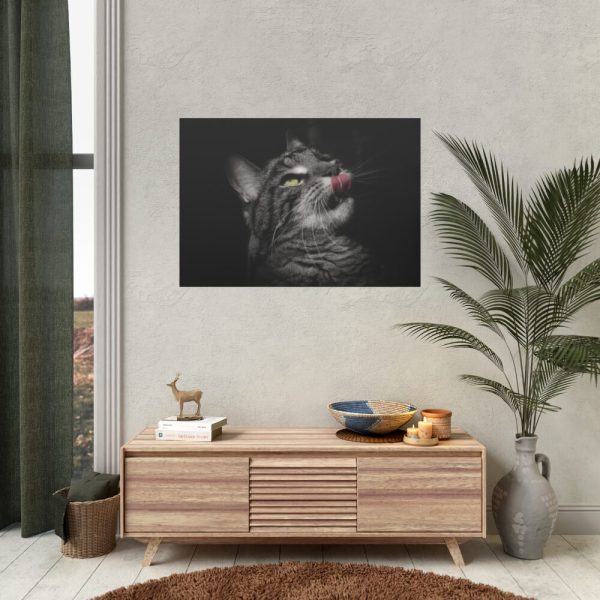 Cute Striped Cat Poster