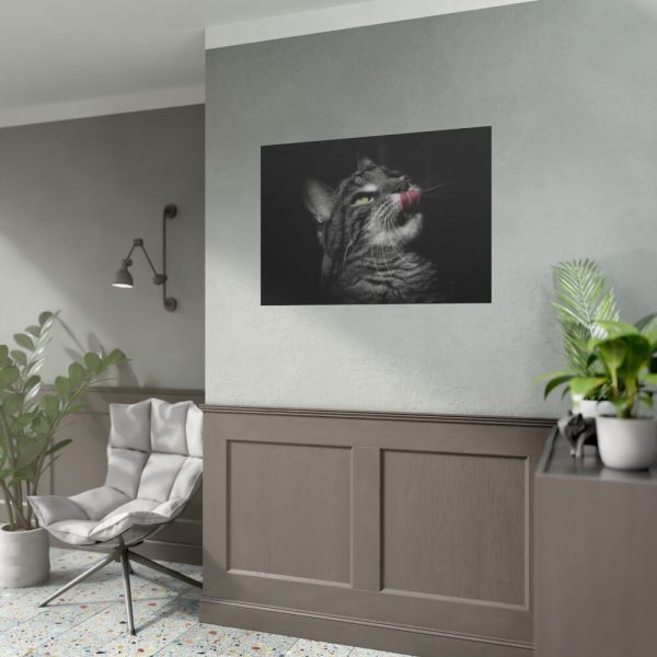 Cute Striped Cat Poster