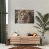 Lion Face Closeup Poster