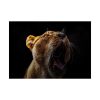 Lion Roar Poster