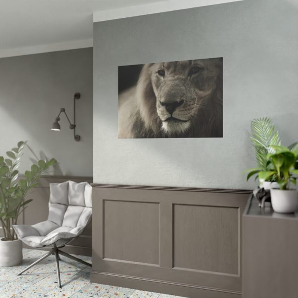 Lion King Face Poster