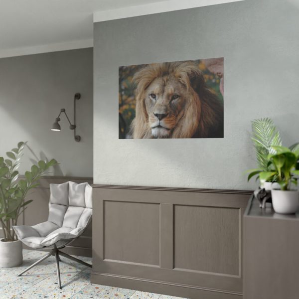 Lion Face Closeup Poster