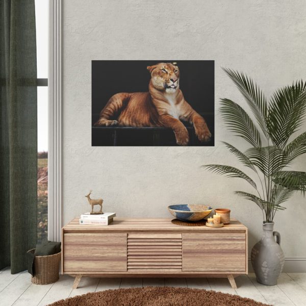 Hercules the Liger Poster