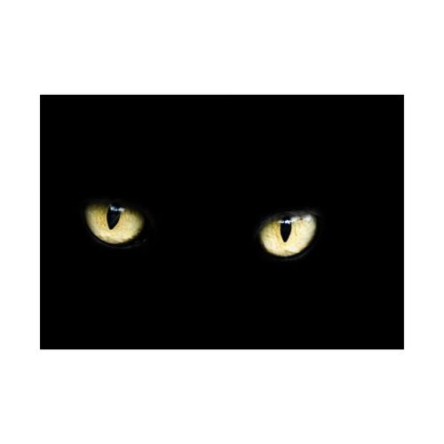92408-444.jpg Black Bombay Cat Poster