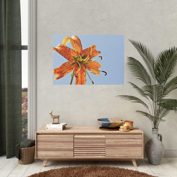 Lily Flower Poster