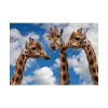 92408-462.jpg Giraffe Tower, Animal Family Poster