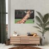 92408-475.jpg Giraffe at The Montgomery Zoo in Oak Park Poster