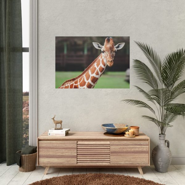 92408-475.jpg Giraffe at The Montgomery Zoo in Oak Park Poster