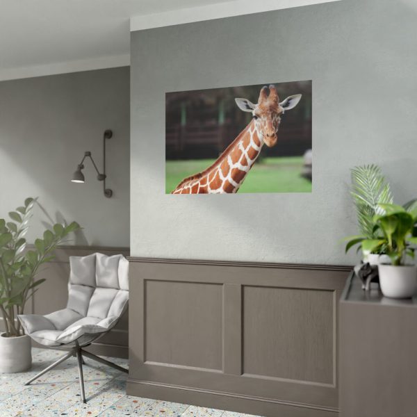 92408-476.jpg Giraffe at The Montgomery Zoo in Oak Park Poster