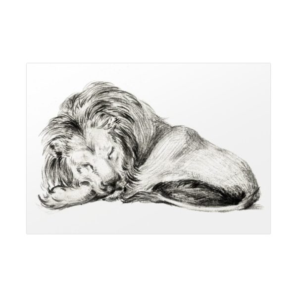 92408-48.jpg Lying Lion by Jean Bernard Poster