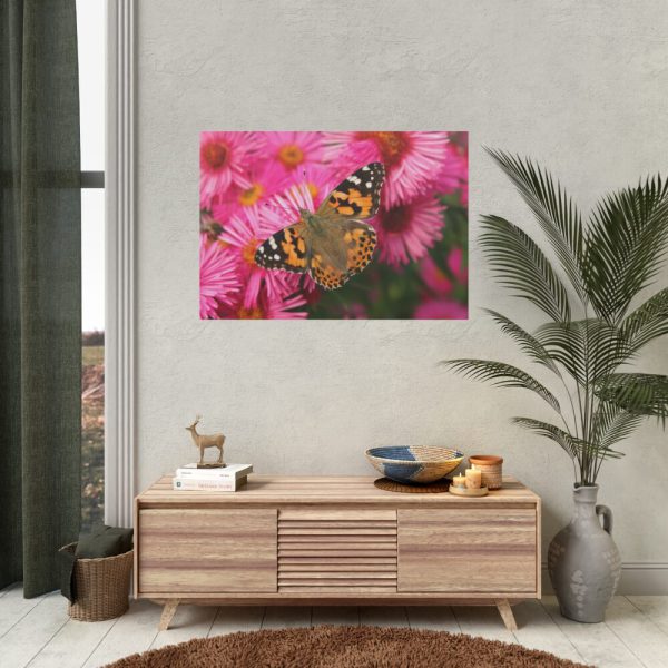 92408-487.jpg Butterfly on Pink Flower Poster