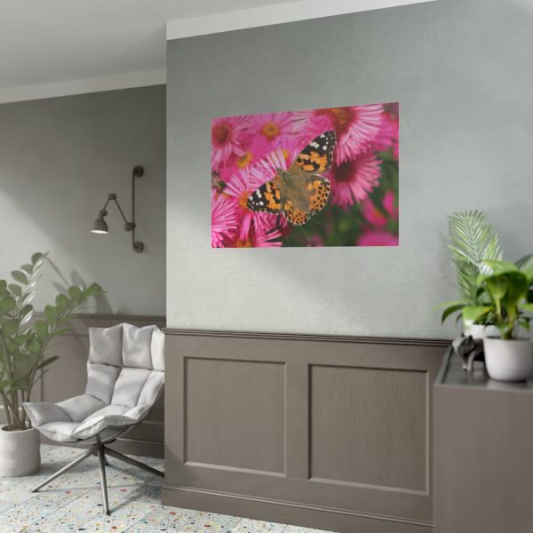 92408-488.jpg Butterfly on Pink Flower Poster