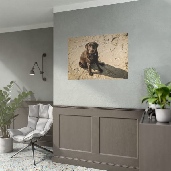 Labrador On the Sand Poster