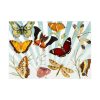 92408-498.jpg Butterfly Vintage Collage Sky Poster