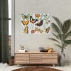92408-499.jpg Butterfly Vintage Collage Sky Poster