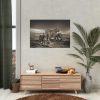92408-505.jpg Lioness with Cubs Poster