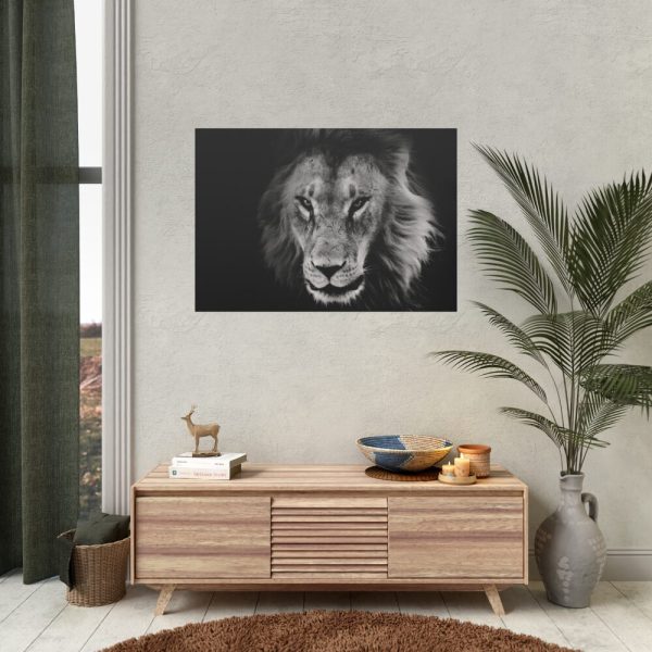 Barbary Lion Face Closeup Poster
