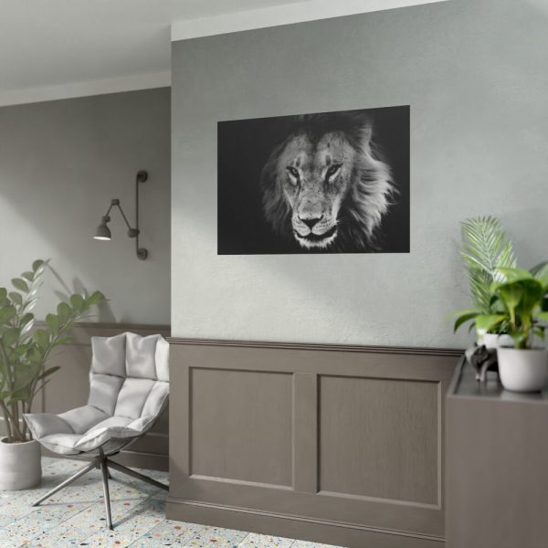 Barbary Lion Face Closeup Poster