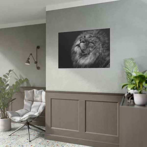 Male Lion Head Closeup Poster