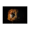Glowing Lion Poster