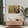 92408-58.jpg Lion Roar Wild Life Poster