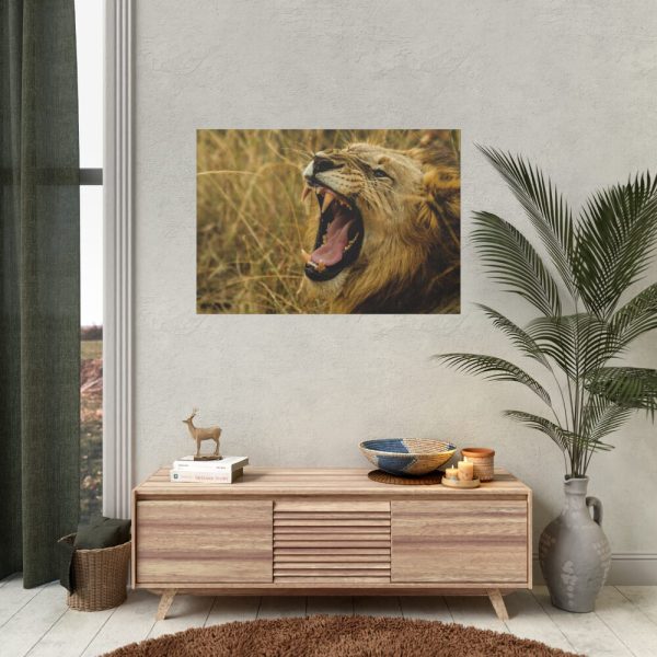 92408-58.jpg Lion Roar Wild Life Poster