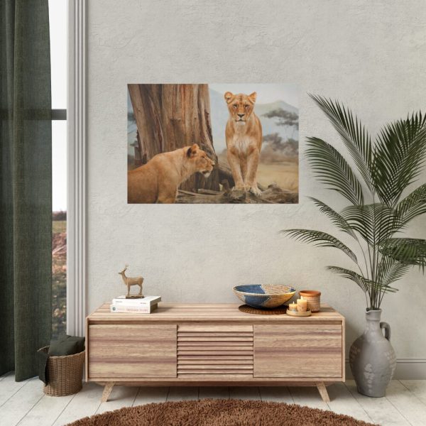 Female Lion Poster