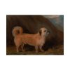 92408-96.jpg A Dandie Dinmont Terrier Poster