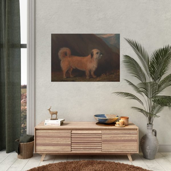92408-97.jpg A Dandie Dinmont Terrier Poster