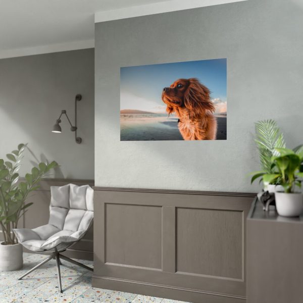 92409-127.jpg Brown Puppy on the Beach Poster